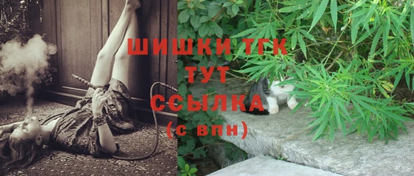 МДПВ Алзамай