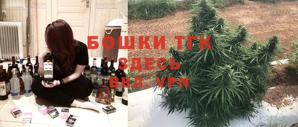 гидра Алексеевка