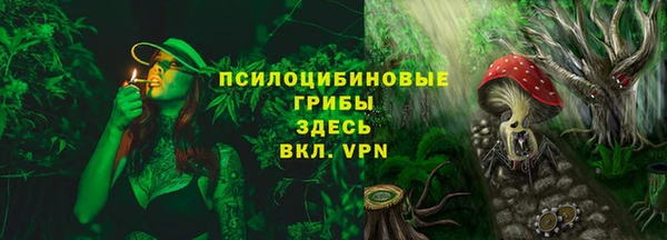 МДПВ Алзамай